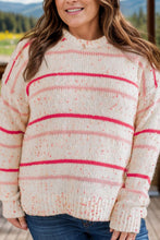 Load image into Gallery viewer, Plus Size Confetti Striped Round Neck Sweater