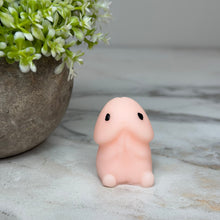 Load image into Gallery viewer, Adult, Penis Squishy
