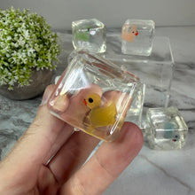 Load image into Gallery viewer, Squishy Toy - Ice Cube Glow In The Dark Duck

