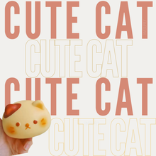 Load image into Gallery viewer, Stress Squishy Toy - Cute Cat
