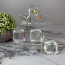 Load image into Gallery viewer, Squishy Toy - Ice Cube Glow In The Dark Duck
