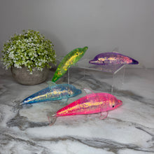 Load image into Gallery viewer, Squishy Toy - Glitter Dolphin - PREORDER
