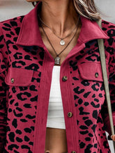 Load image into Gallery viewer, Full Size Leopard Collared Neck Button Up Long Sleeve Jacket
