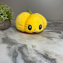 Load image into Gallery viewer, Moody Animals - Pumpkins, Ghost, Dog, &amp; Cat - PREORDER 8/31-9/2
