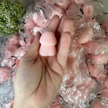 Load image into Gallery viewer, Adult, Penis Squishy
