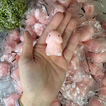Load image into Gallery viewer, Adult, Penis Squishy

