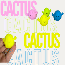 Load image into Gallery viewer, Squishy Toy - Cactus
